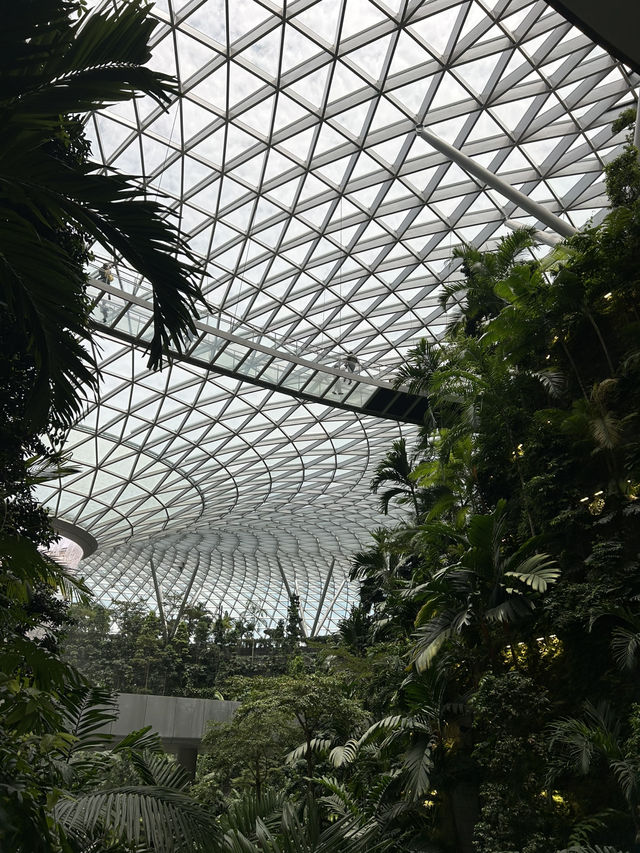 ✅แลนมาร์คสิงคโปร์ Jewel changi airport ✈️