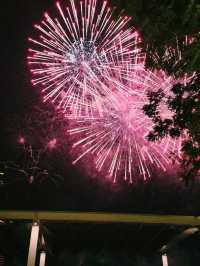 🎆 Spectra Light & Fireworks at Marina Bay Sands