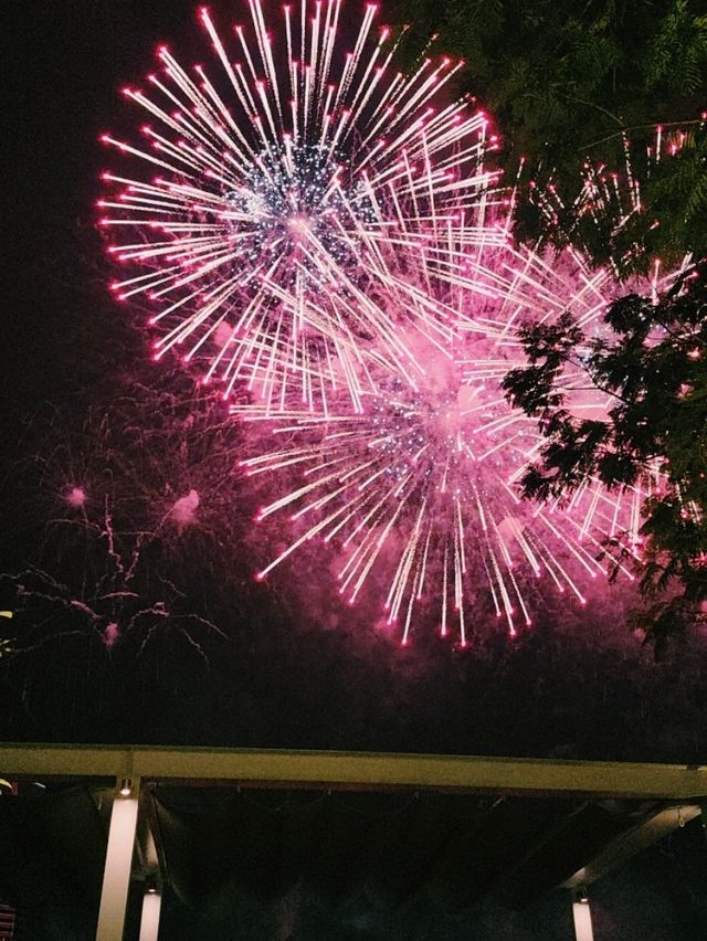 🎆 Spectra Light & Fireworks at Marina Bay Sands