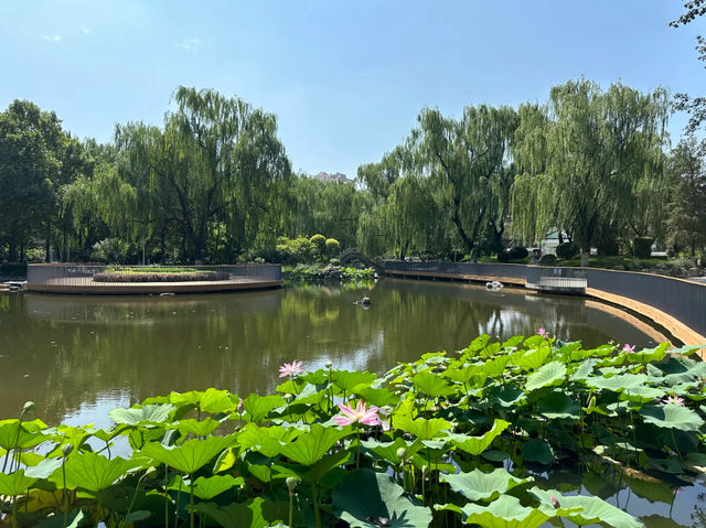 Shijingshan Park 🪷 