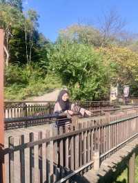 Summer Zoo Stroll: Everland, Korea