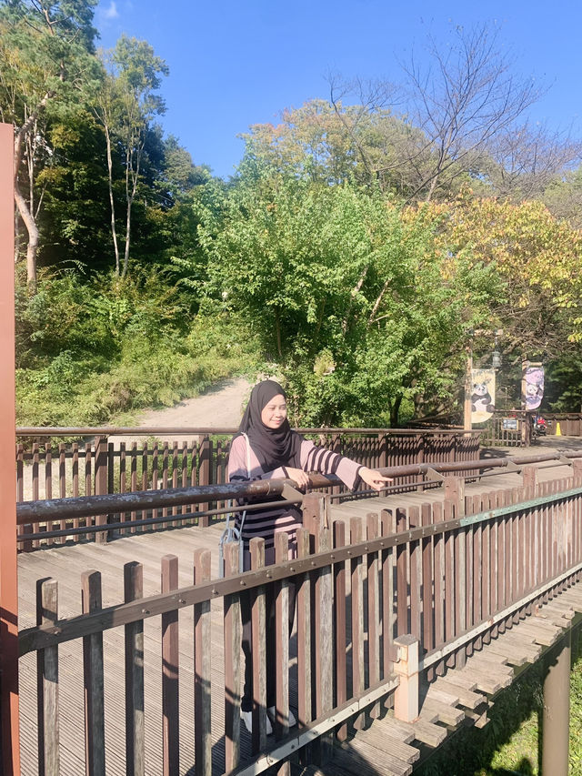 Summer Zoo Stroll: Everland, Korea