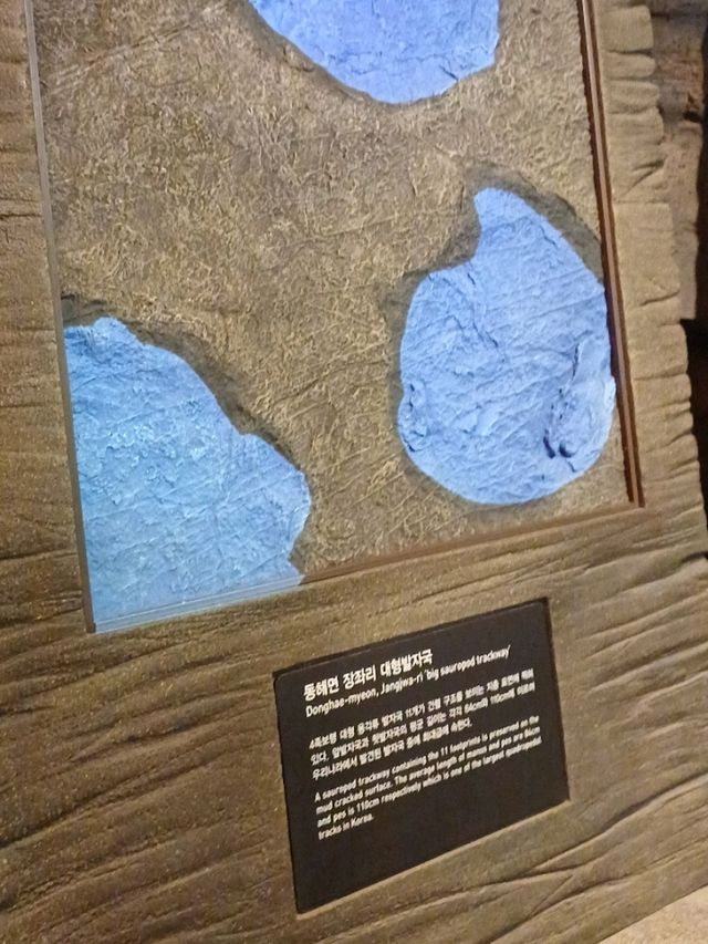 방학에 꼭 가봐야 할 자연사 핫플!