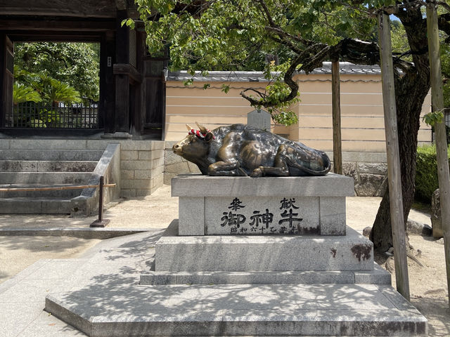 到福岡旅行住天神就對了👍