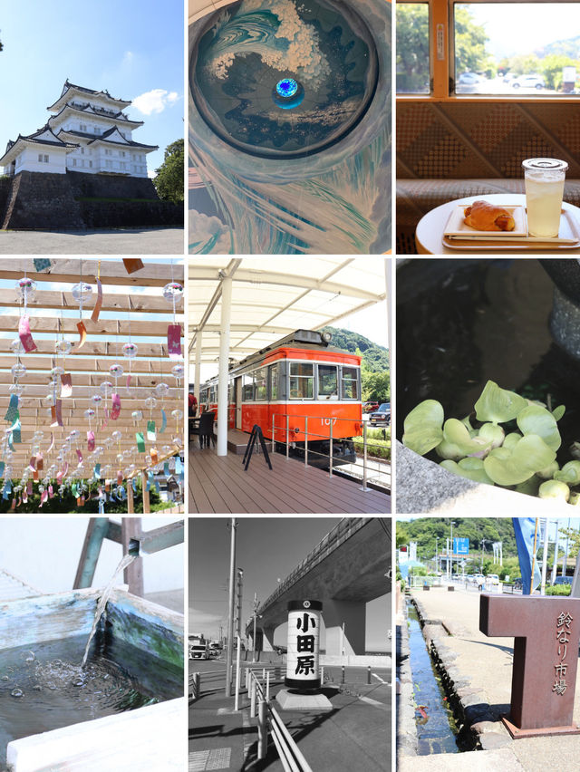 【小田原】都心からアクセス⭕️夏休みにもぴったり！気ままな観光🌻