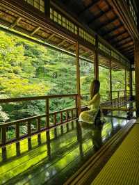 心に映る、青もみじのミラーワールド🪞🍃
