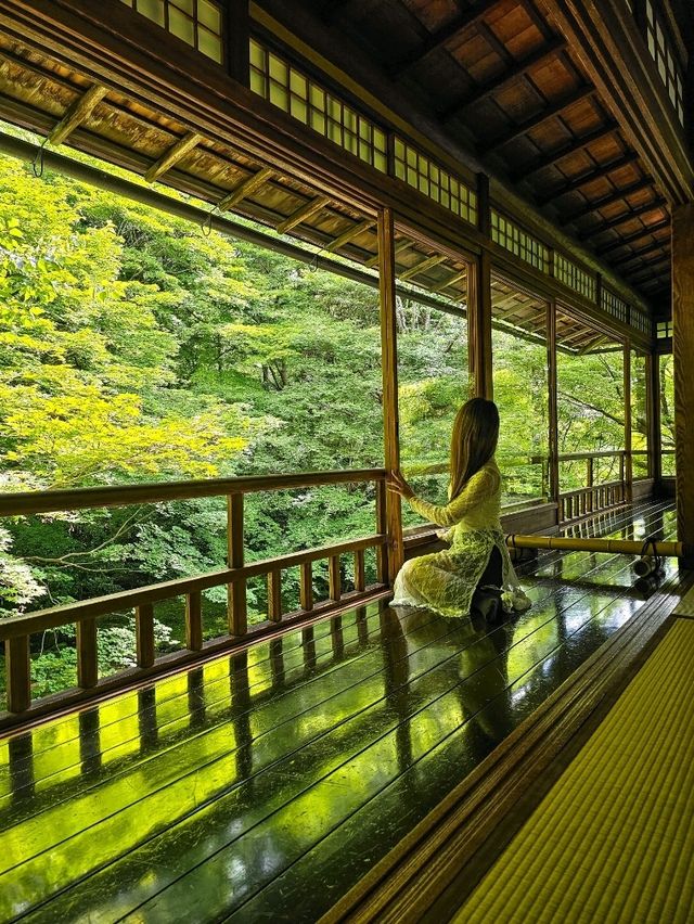 心に映る、青もみじのミラーワールド🪞🍃