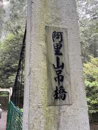 🌲 Walk Among the Clouds: Alishan Suspension Bridge