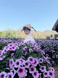 มาโคราช ห้ามพลาดอะไร !