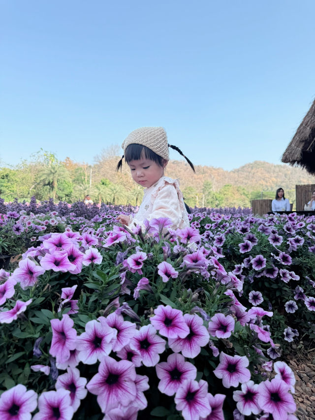 มาโคราช ห้ามพลาดอะไร !
