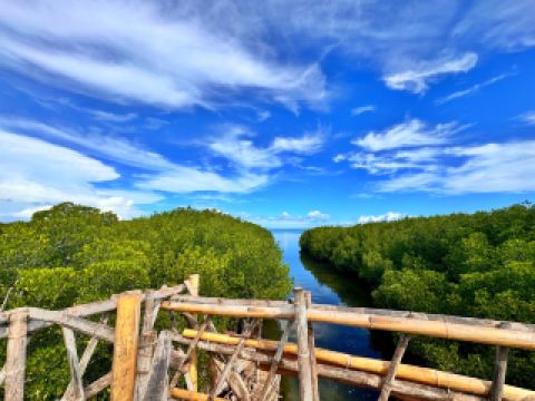 Мангровый сад Обуб