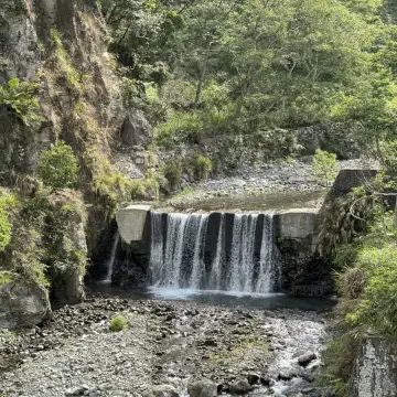 台中和平· 八仙山國家森林遊樂區+八仙山莊