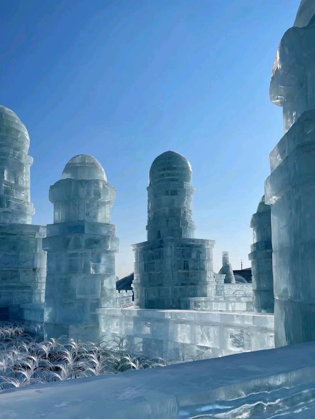 Where Ice Glows and Cultures Meet: Discover Harbin