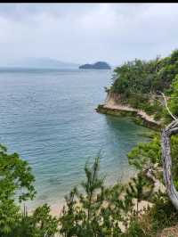 うさぎに癒される島旅、大久野島でふわふわの休日を