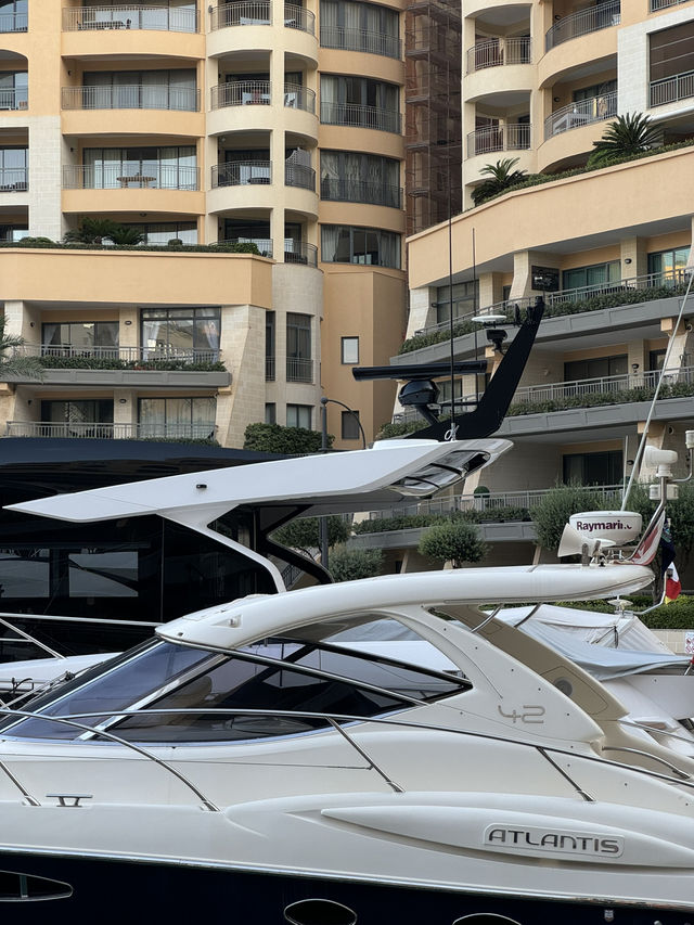 🌤 햇살 가득한 항구, 포르토마소 마리나 산책 🛥