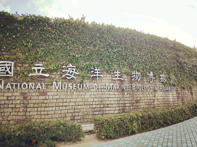 台灣🚗環島一人行