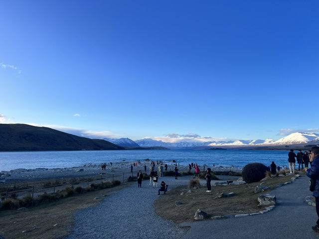 紐西蘭必去景點—⛪ 牧羊人教堂｜靜立湖畔的信仰之光