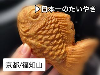 [Kyoto/Fukuchiyama] Cafe? ▶︎Japan's best taiyaki
