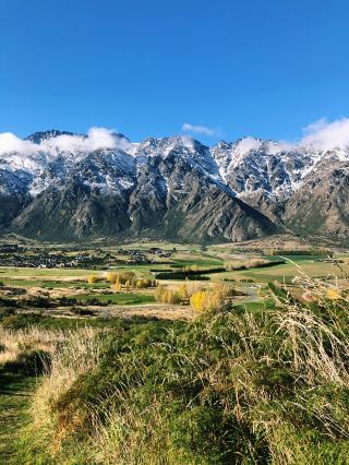 Beautiful scenery of the South Island throughout the four seasons🌸🪻🍂❄️