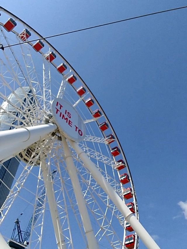 Sky-High Views on the Harbor