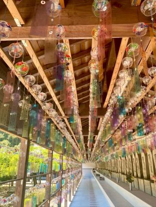 🎐空中迴盪的祈禱聲✨道覺寺