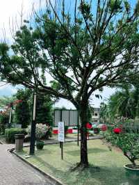 Taman Sahabat Kuching: Peaceful Park with Culture and Charm 