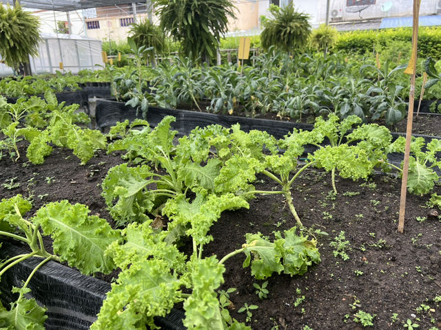 A family farm