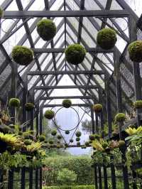 Discovering Serenity: A Journey Through Orchid Forest Cikole