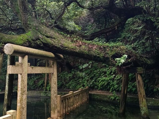 北千葉/南茨城鐵路小旅遊