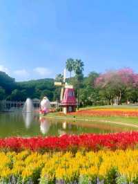 Yuntai Garden: Guangzhou's Floral Symphony in the White Cloud Mountains