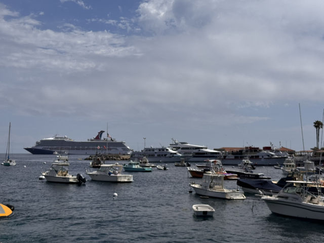 미스터트롯3 TOP7과 함께한 환상의 크루즈 여행, 카탈리나 섬과 엔세나다에서 선상 갈라쇼까지! 미스터트롯3 TOP7과 함께한 환상의 크루즈 여행, 카탈리나 섬과 엔세나다에서 선상 갈라쇼까지!