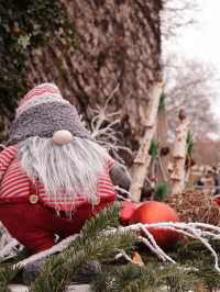 【クリスマスが可愛すぎる】フランス コルマール