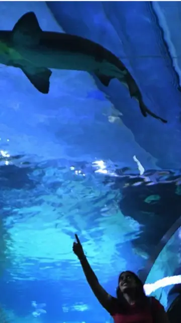 Sea Life Bangkok Ocean World