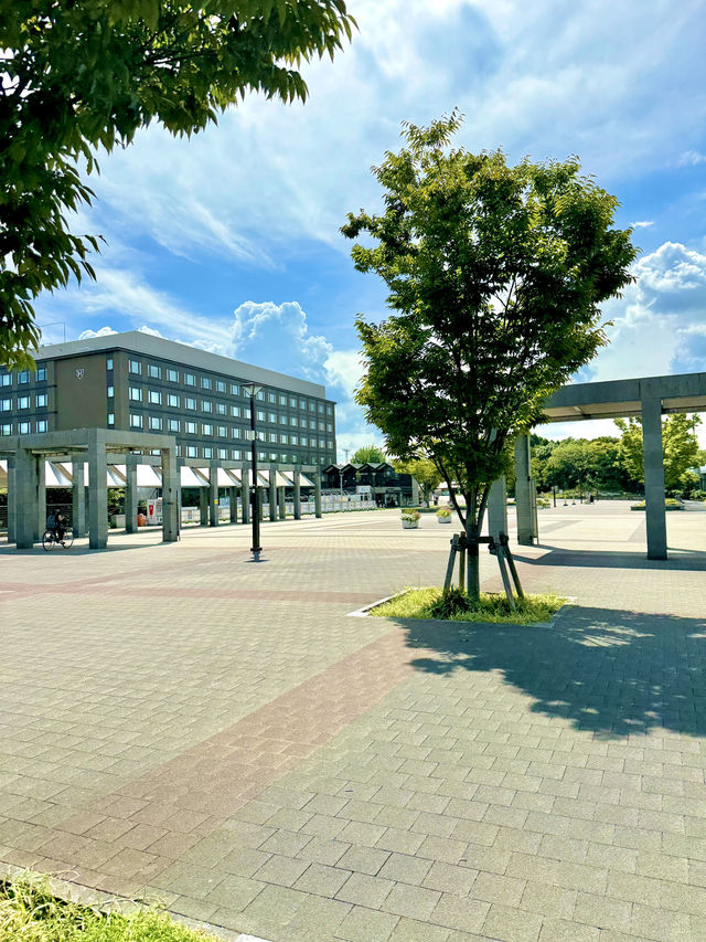 🌳 교토 우메코지공원 여행 가이드