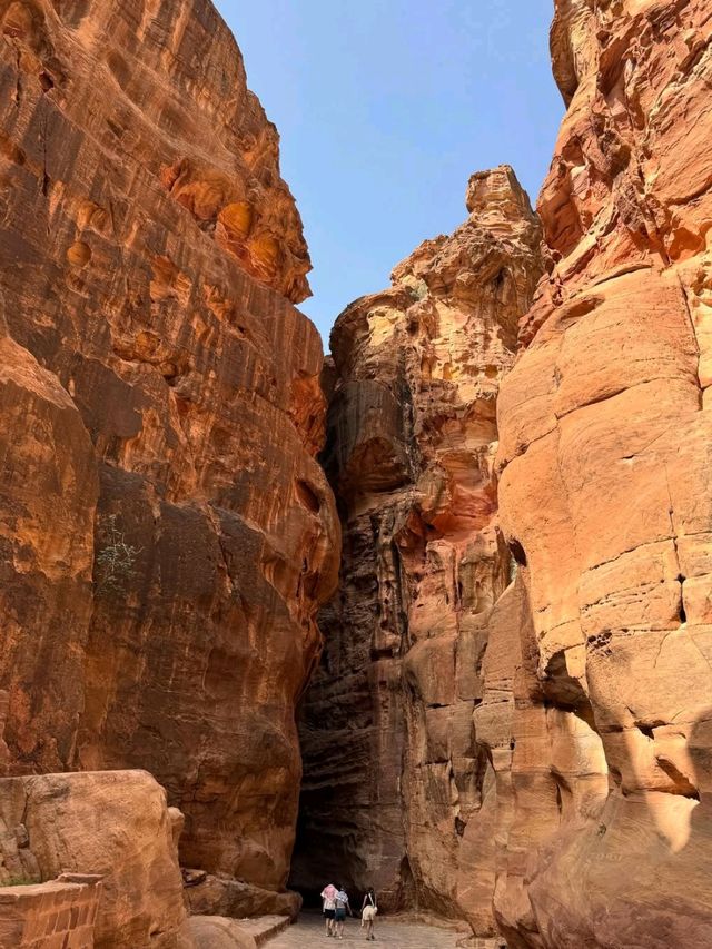 A Timeless Wonder Carved into the Rose Red Cliffs