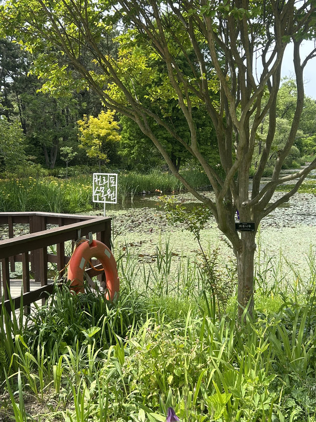 태안간다면 꼭! 바다와 숲이 어우러진 자연 속 힐링 공간 태안간다면 꼭! 바다와 숲이 어우러진 자연 속 힐링 공간