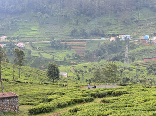 Ooty – The Nilgiri Gem