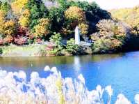 紅葉のムーミンバレーパーク、トーベ・ヤンソンあけぼの子どもの森公園と角川武蔵野ミュージアムを楽しむ一泊二日
