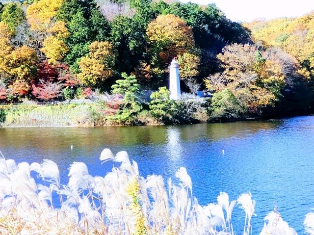 紅葉のムーミンバレーパーク、トーベ・ヤンソンあけぼの子どもの森公園と角川武蔵野ミュージアムを楽しむ一泊二日
