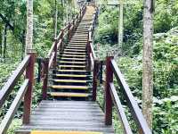 🌿「追隨水聲，一步步走進山林的心跳節奏。」