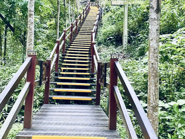 🌿「追隨水聲，一步步走進山林的心跳節奏。」