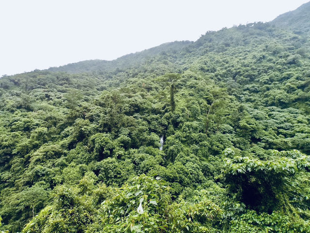 🌿「追隨水聲，一步步走進山林的心跳節奏。」