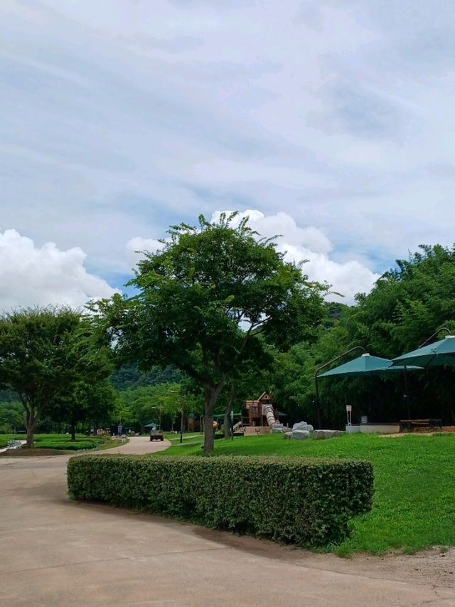도심 속 자연 천국 🌿