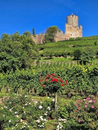 Captivating Kaysersberg: A Picture-Perfect Alsatian Gem ✨