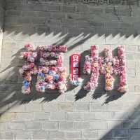 8 Days in Fuzhou