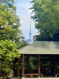 東京｜東京最美的清澄庭園 三菱創辦人的插柳成蔭