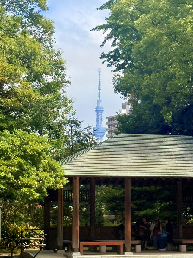 東京｜東京最美的清澄庭園 三菱創辦人的插柳成蔭