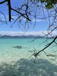 ดำน้ำตื้นเกาะช้าง