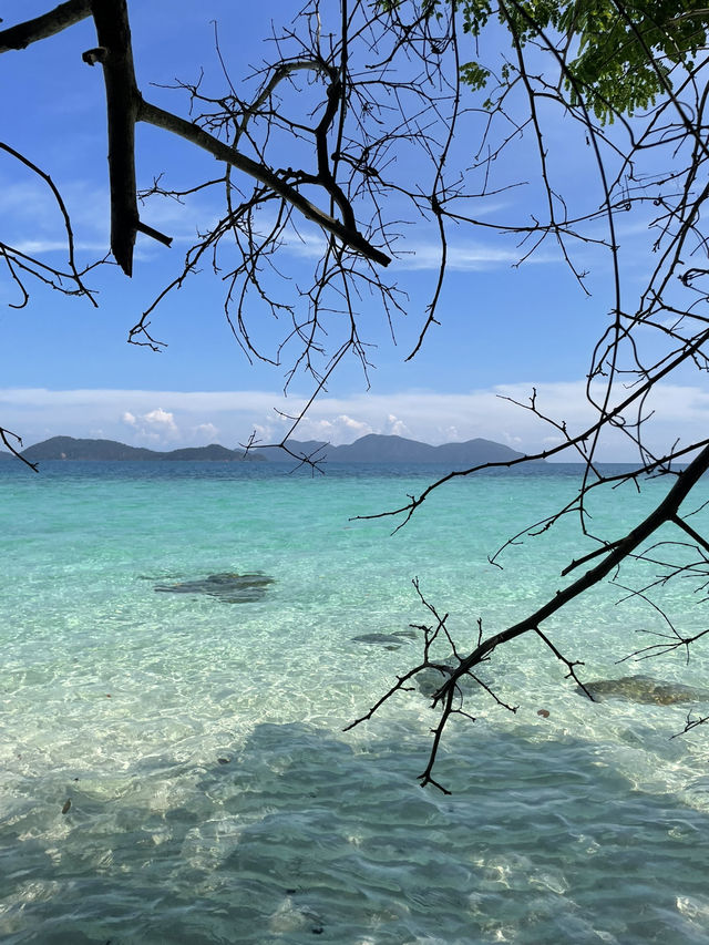 ดำน้ำตื้นเกาะช้าง ดำน้ำตื้นเกาะช้าง