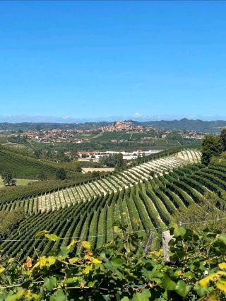 Tasting Tradition in the Hills of Barolo